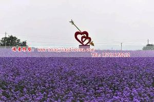 һĲP䓵ܣ@P䓵ܣӰǲP䓵